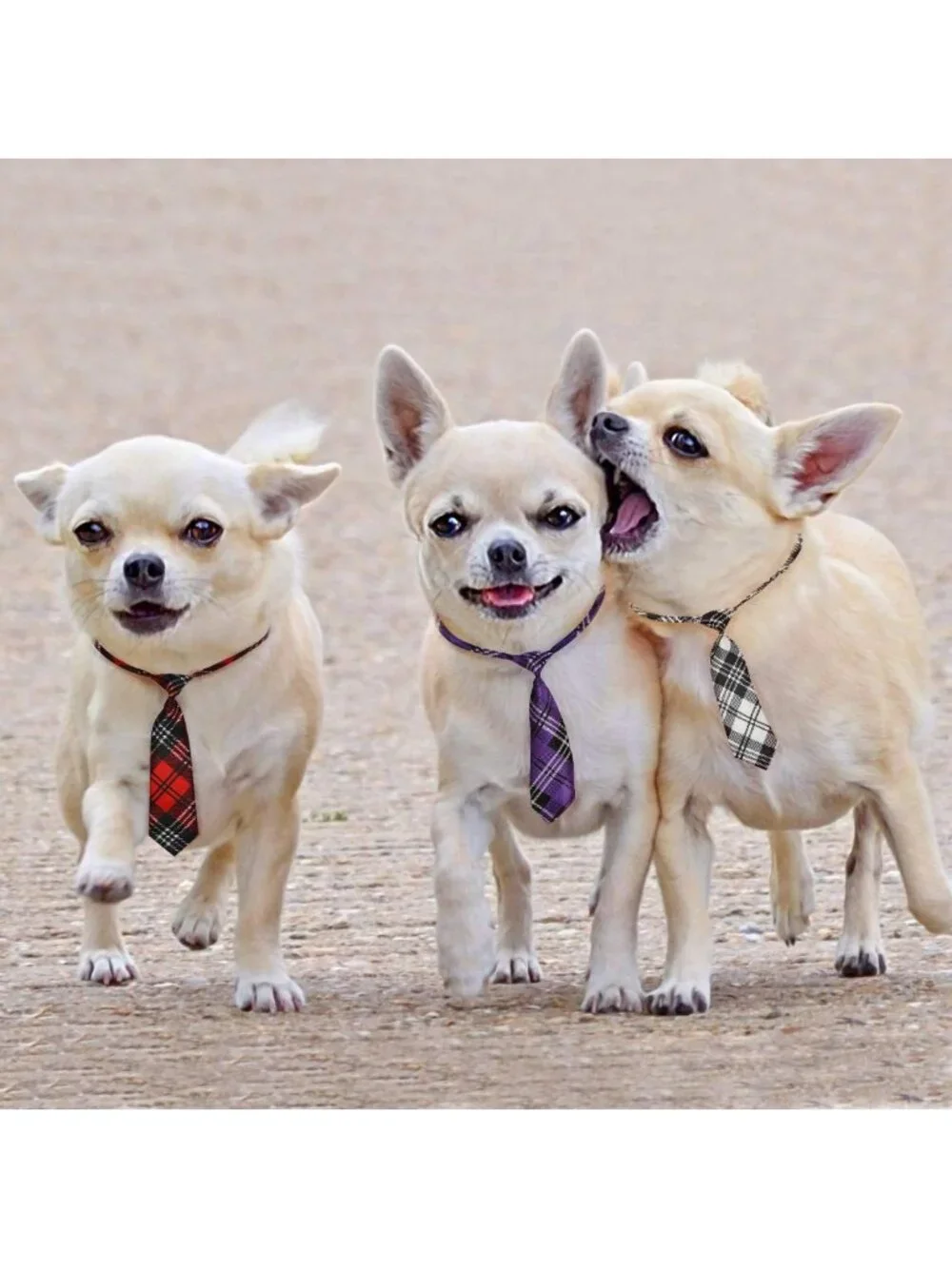Adjustable Dog Neck Tie for Large Dogs | Bow Ties & Grooming Accessories